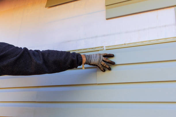  Rushford, MN Siding Pros